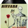 Nirvana - Incesticide 20th Anniversary 2xLP Vinyl Record
