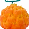 One Piece - Flame-Flame Fruit 1:1 Scale Life-Size Replica