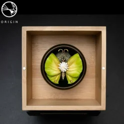 Origin - Lepidoptera Sheng Collection Replica Set by David Zhou (Set of 5)