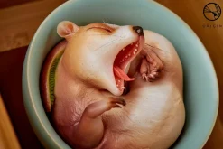 Origin - Pea Weasel Sheng Series Replica