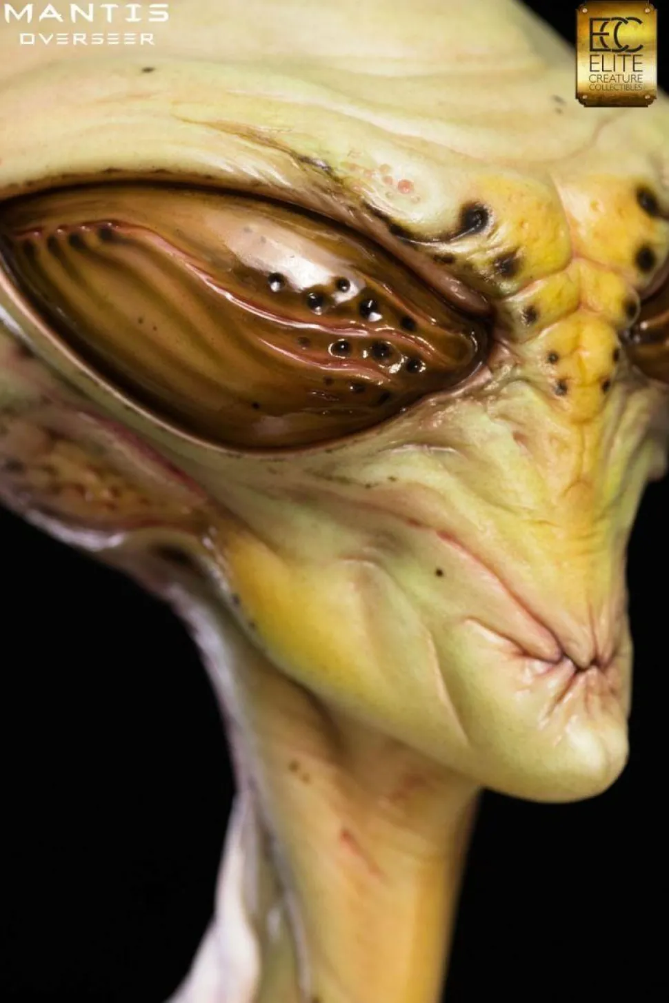 Overseer - Mantis 1:1 Scale Life-Size Bust