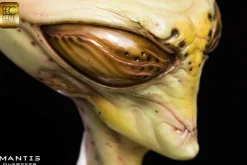 Overseer - Mantis 1:1 Scale Life-Size Bust
