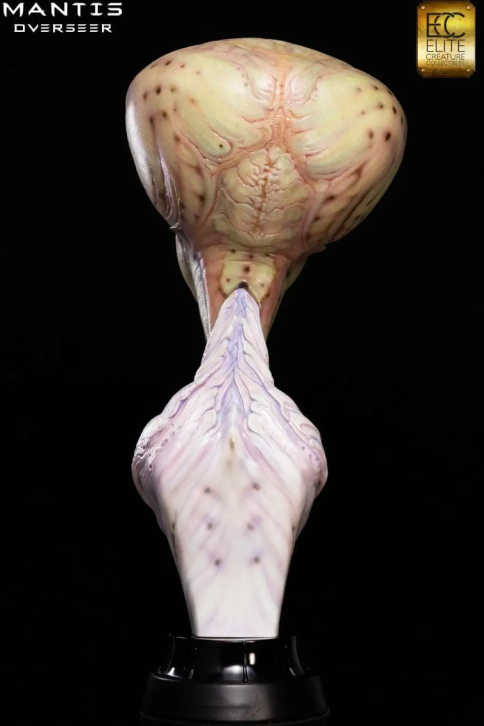 Overseer - Mantis 1:1 Scale Life-Size Bust
