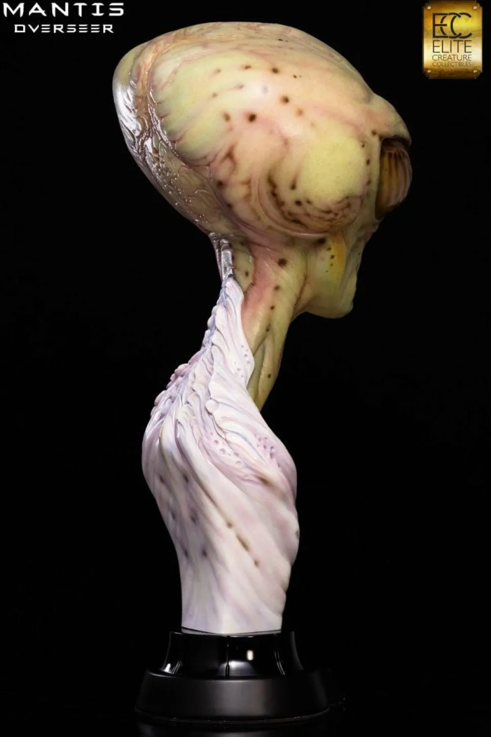 Overseer - Mantis 1:1 Scale Life-Size Bust