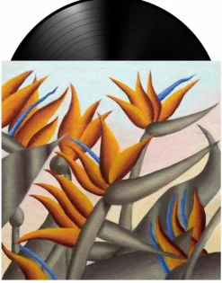 Paradise Club - Paradise Club LP Vinyl Record