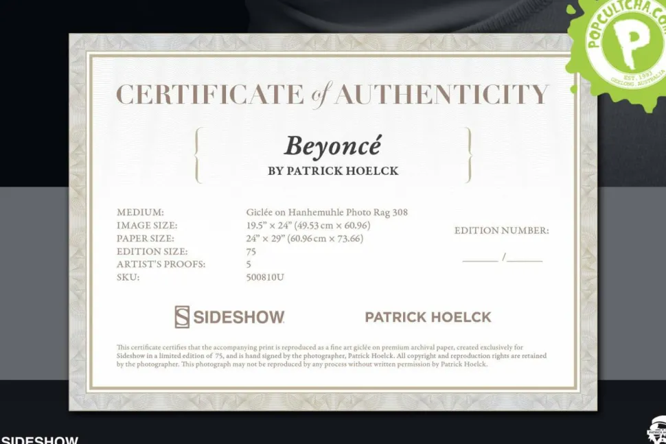 Patrick Hoelck - Beyonce Fine Art Print