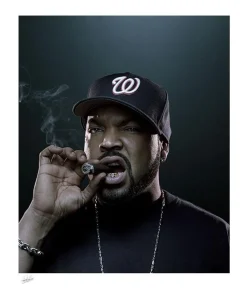 Patrick Hoelck - Ice Cube Fine Art Print