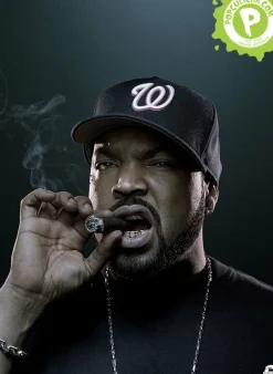 Patrick Hoelck - Ice Cube Fine Art Print
