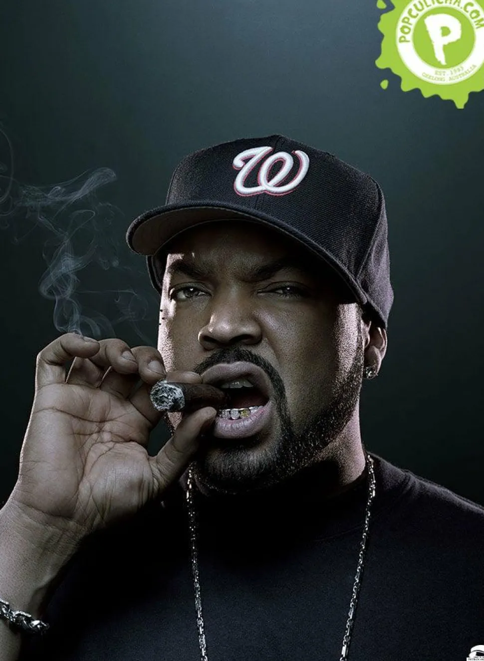 Patrick Hoelck - Ice Cube Fine Art Print