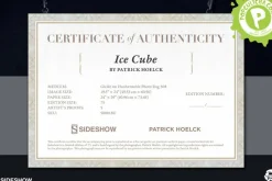 Patrick Hoelck - Ice Cube Fine Art Print