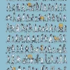 Penguins by Nick Thorburn Hardcover