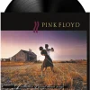 Pink Floyd - A Collection of Great Dance Songs LP Vinyl Record