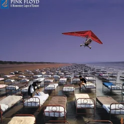 Pink Floyd - A Momentary Lapse Of Reason: Remixed & Updated 2xLP Vinyl Record
