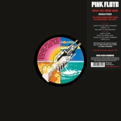 Pink Floyd - Wish You Were Here (Remastered) LP Vinyl Record