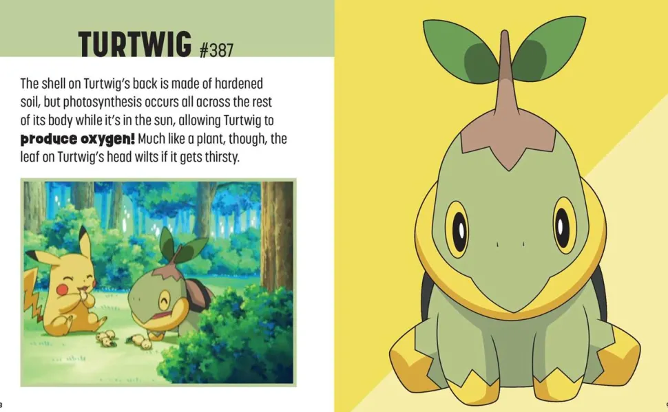 Pokemon - Trainer’s Mini Exploration Guide to Sinnoh Hardcover Book