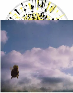Pond - Stung! 2xLP Vinyl Record (Bee Splatter Coloured Vinyl)