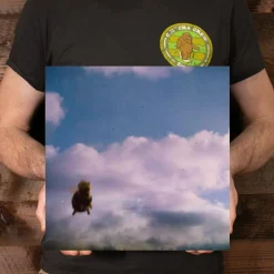 Pond - Stung! 2xLP Vinyl Record (Bee Splatter Coloured Vinyl)