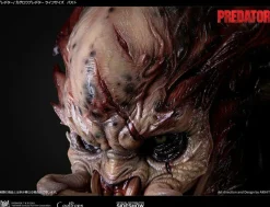 Predator - KAGERO Predator 1:1 Scale Life-Size Bust by Akihito Ikeda