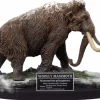 Prehistoric Creatures - Woolly Mammoth Wonder Wild Series 11” Statue