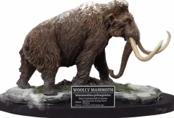 Prehistoric Creatures - Woolly Mammoth Wonder Wild Series 11” Statue