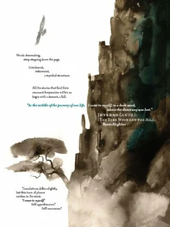 Raptor: A Sokol Graphic Novel by Dave McKean Paperback Book