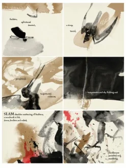 Raptor: A Sokol Graphic Novel by Dave McKean Paperback Book