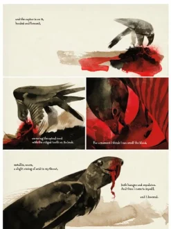 Raptor: A Sokol Graphic Novel by Dave McKean Paperback Book