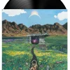 Sam Teskey - Cycles LP Vinyl Record