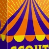 Scout - Card Game