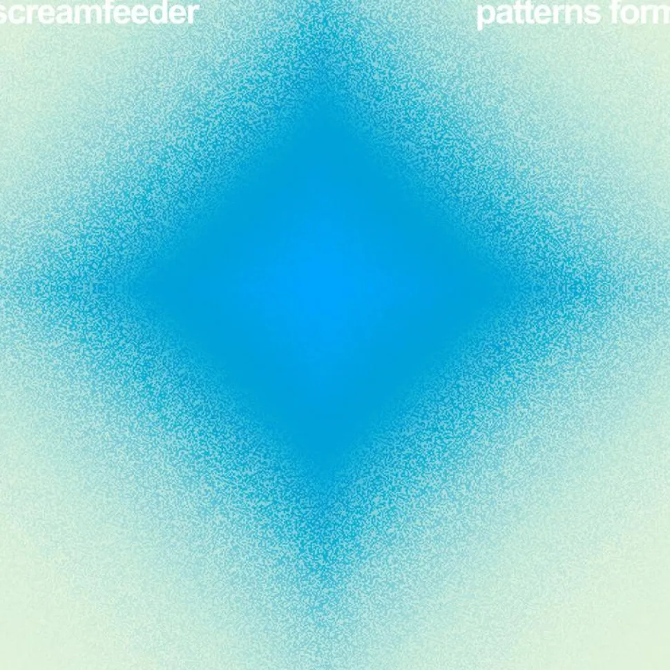 Screamfeeder - Patterns Form: Singles and More from 1992-2017 2xLP Vinyl Record (2018 Record Store Day Exclusive)