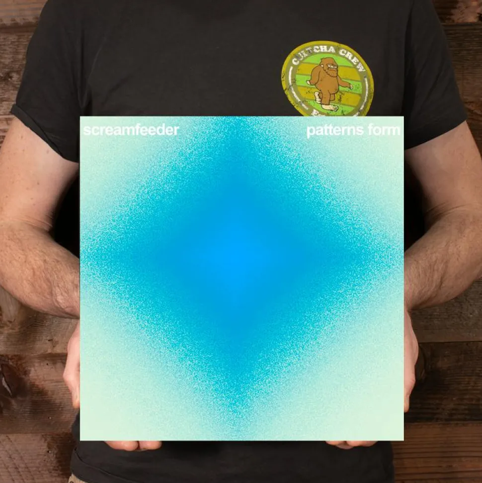 Screamfeeder - Patterns Form: Singles and More from 1992-2017 2xLP Vinyl Record (2018 Record Store Day Exclusive)