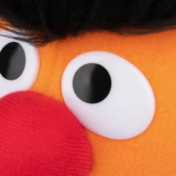 Sesame Street - Ernie 9