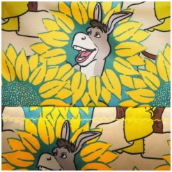 Shrek - Shrek & Donkey Sunflower Field 6
