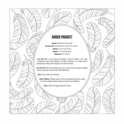 Smithsonian - Birds Colouring Book by Rachel Curtis Paperback