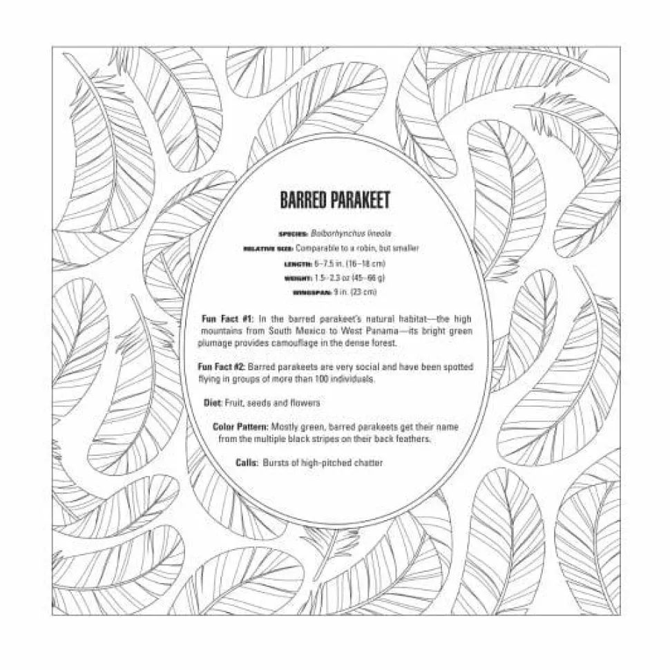 Smithsonian - Birds Colouring Book by Rachel Curtis Paperback