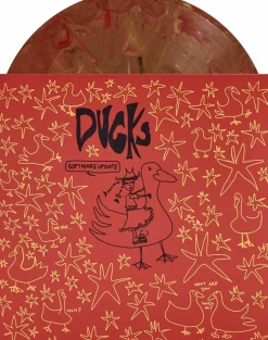 Software Update - Ducks LP Vinyl Record (Lucky Dip Recycled Coloured Vinyl)
