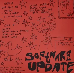 Software Update - Ducks LP Vinyl Record (Lucky Dip Recycled Coloured Vinyl)