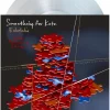 Something For Kate - Echolalia 20th Anniversary LP Vinyl Record (Clear Vinyl)