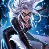 Spider-Man - Black Cat (Amazing Spider-Man #21 Variant Cover) Fine Art Print by Sujin Jo