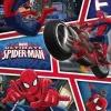 Spiderman - Ultimate Spiderman Cartoon Poster