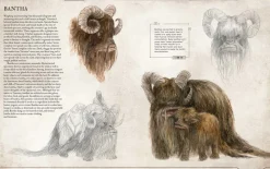 Star Wars - Bestiary Volume 01 Hardcover Book