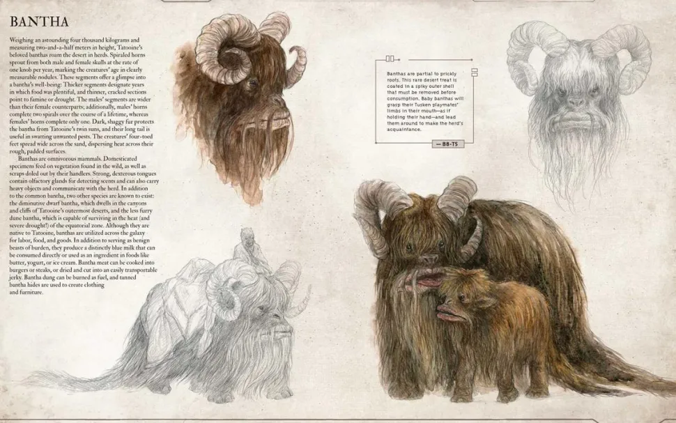 Star Wars - Bestiary Volume 01 Hardcover Book