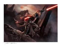 Star Wars - Darth Maul: Savage Rage Fine Art Print by Brian Rood