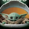 Star Wars: The Mandalorian - Precious Cargo Poster (1101)