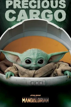Star Wars: The Mandalorian - Precious Cargo Poster (1101)