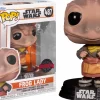 Star Wars: The Mandalorian - Frog Lady Pop! Vinyl Figure
