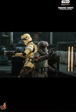 Star Wars: The Mandalorian - Transport Trooper 1/6th Scale Hot Toys Action Figure