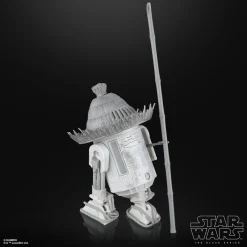 Star Wars: Visions - The Ronin & R5-D56 Black Series 6