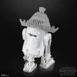Star Wars: Visions - The Ronin & R5-D56 Black Series 6
