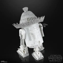 Star Wars: Visions - The Ronin & R5-D56 Black Series 6
